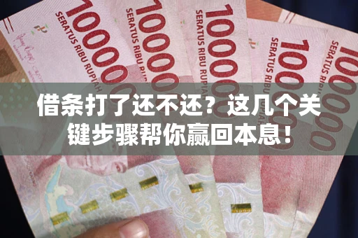 北京借条打了还不还？这几个关键步骤帮你赢回本息！