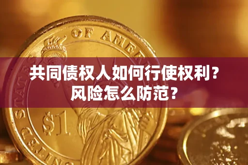 北京共同债权人如何行使权利？风险怎么防范？
