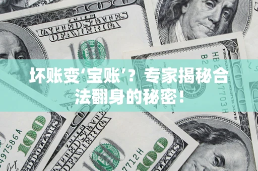 北京坏账变‘宝账’？专家揭秘合法翻身的秘密！