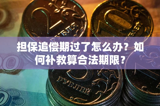 北京担保追偿期过了怎么办？如何补救算合法期限？