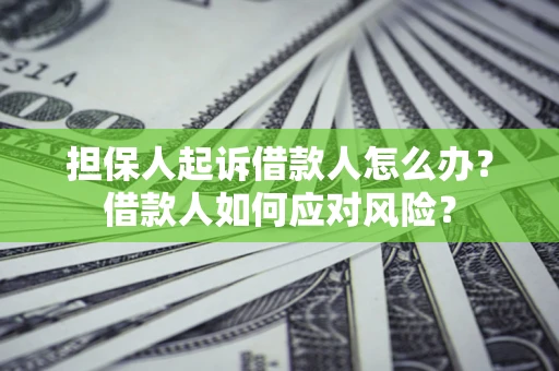 北京担保人起诉借款人怎么办？借款人如何应对风险？