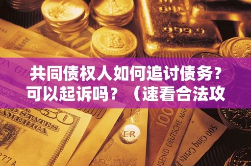 北京共同债权人如何追讨债务？可以起诉吗？（速看合法攻略）