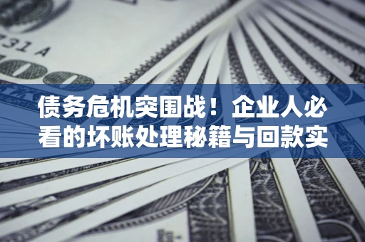 北京债务危机突围战！企业人必看的坏账处理秘籍与回款实战指南